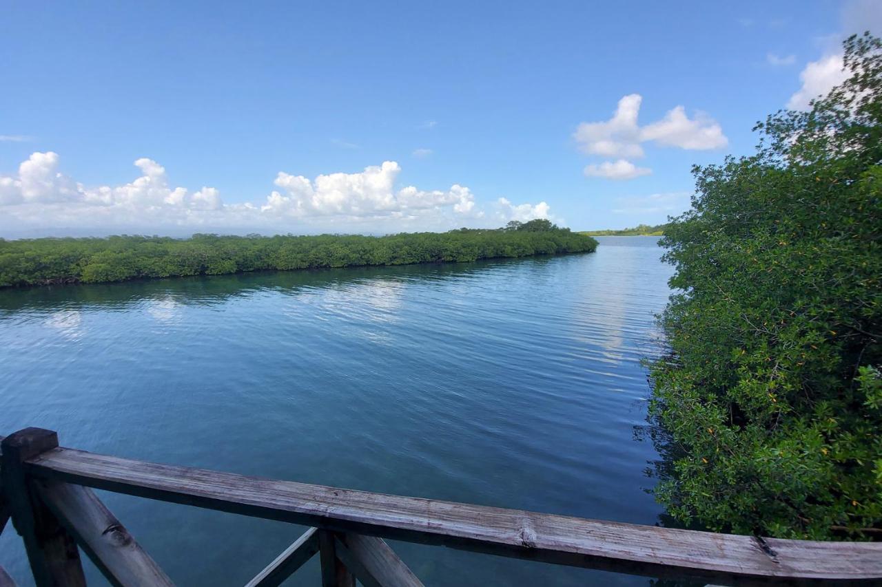 The Sunsetter Bed & Breakfast Bocas del Toro Exteriör bild